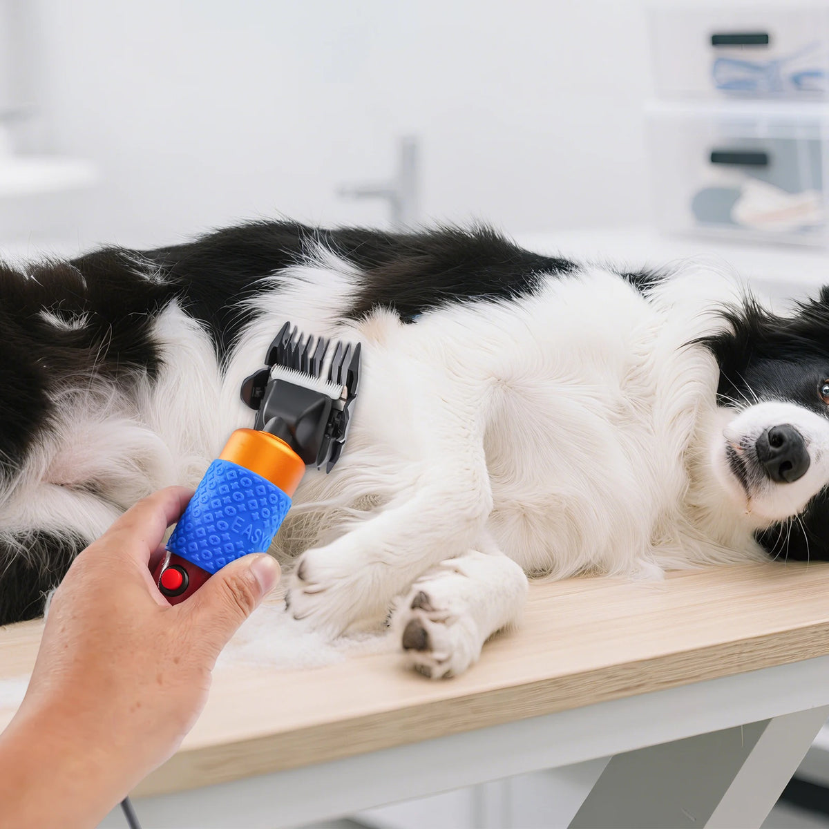 Professional 36W Dog And Cat Grooming Clipper With Adjustable Blade