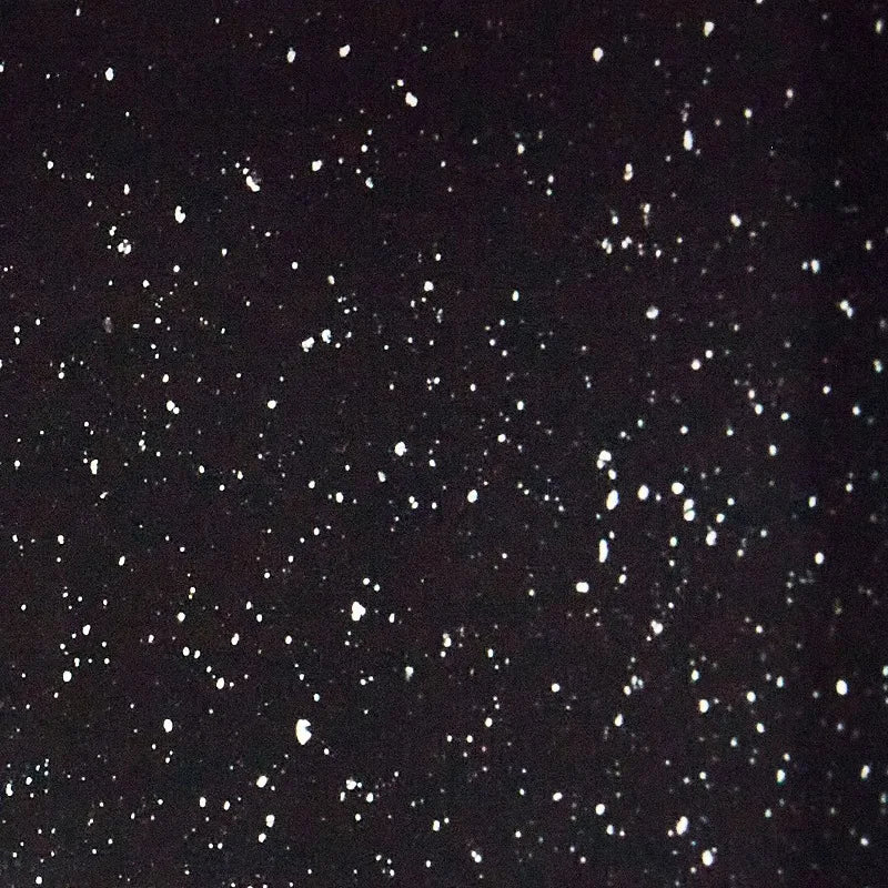 Covered Oval Steel Roasting Pan for Even Cooking and Browning