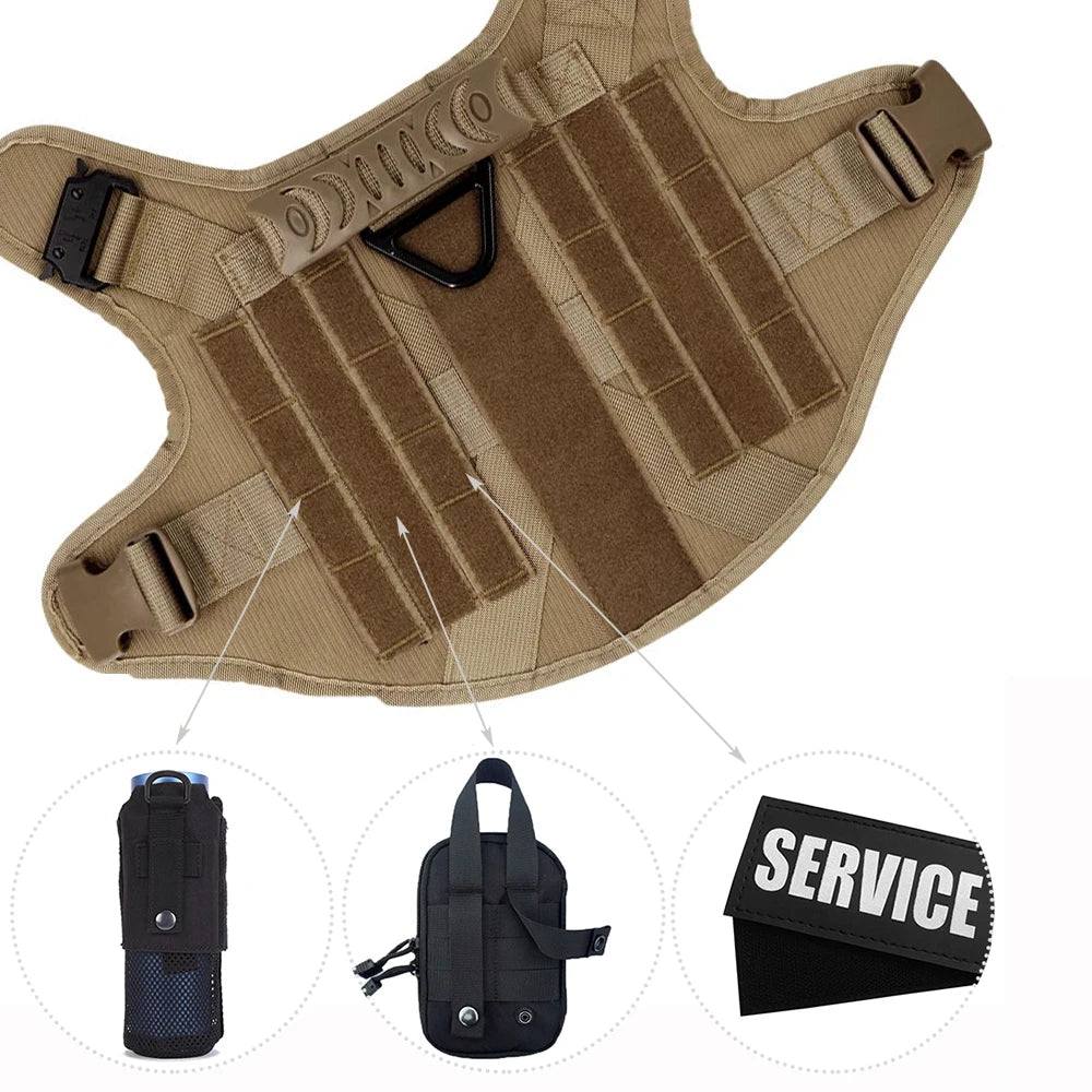 PETRAVEL Padded Dog Harness and Leash Set for Training Walks