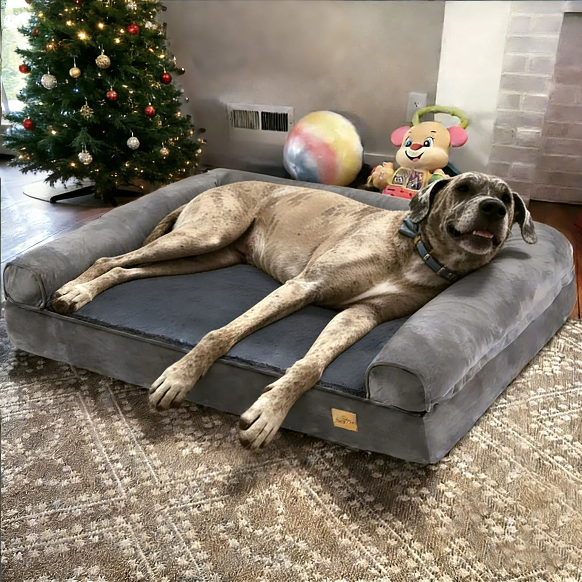 Borwart Orthopedic Memory Foam Dog Bed With Waterproof Cover