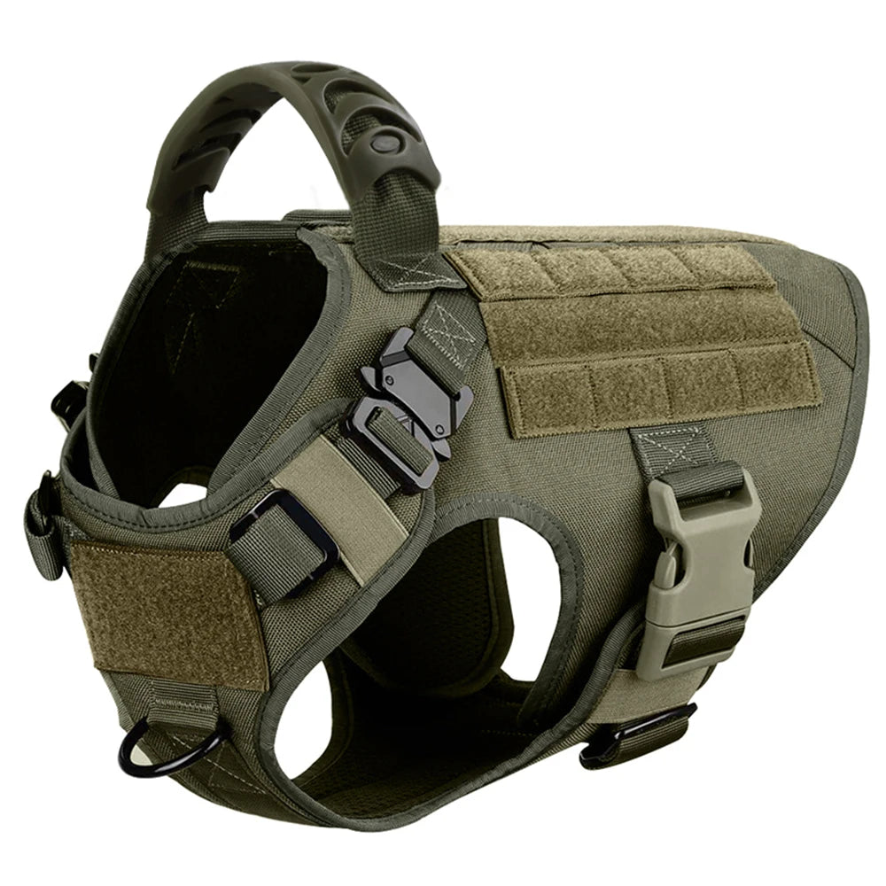PETRAVEL Padded Dog Harness and Leash Set for Training Walks