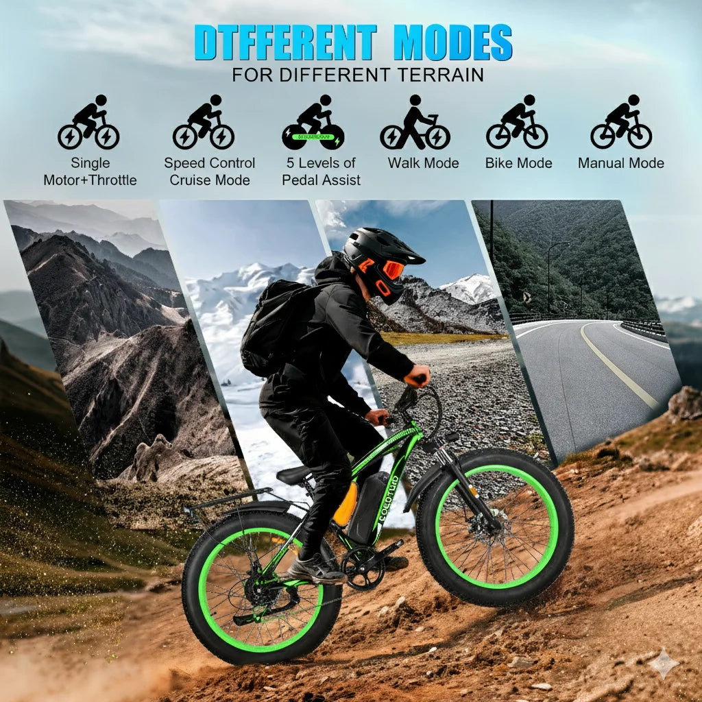 1000W Fat Tire Electric Bike With 48V 20Ah Battery