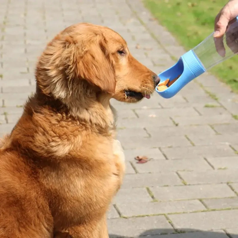 Portable Two In One Glass Pet Travel Water Bottle Dispenser