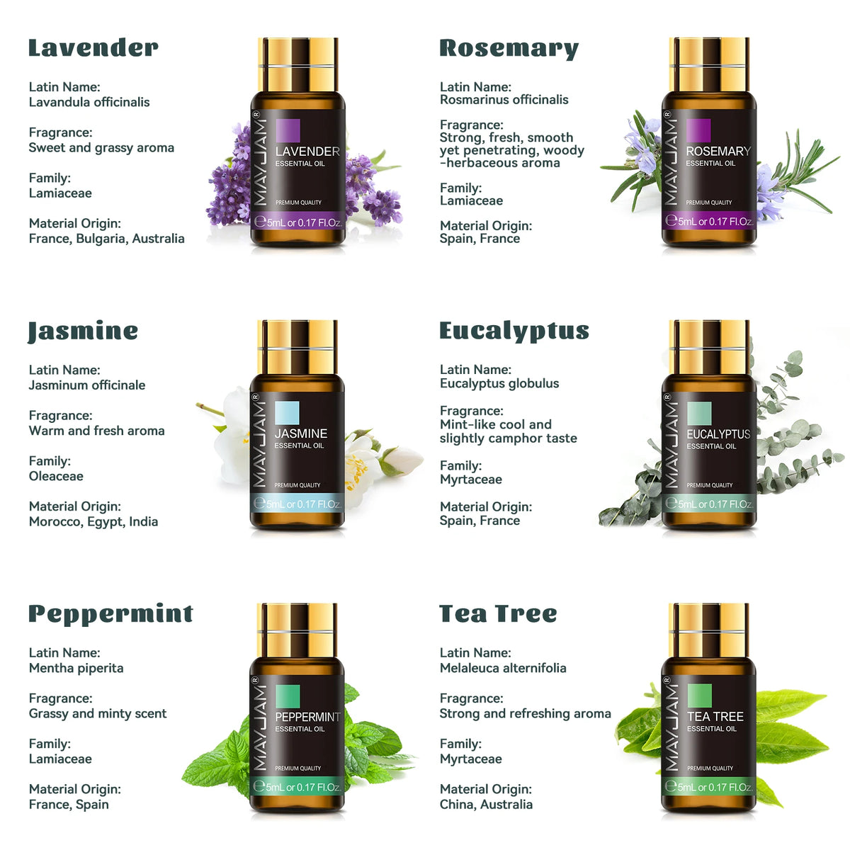 Mayjam Premium Aromatherapy Essential Oil Collection Set