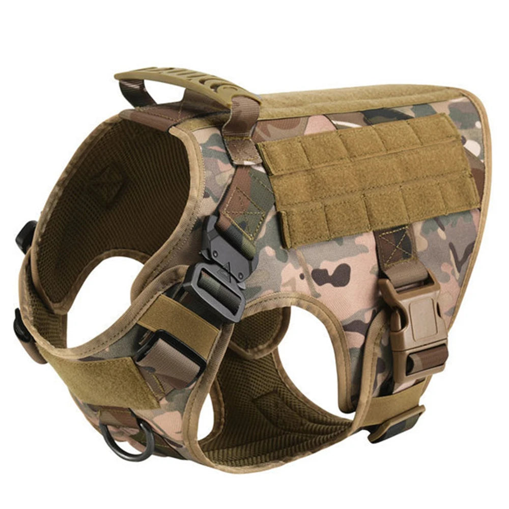 PETRAVEL Padded Dog Harness and Leash Set for Training Walks