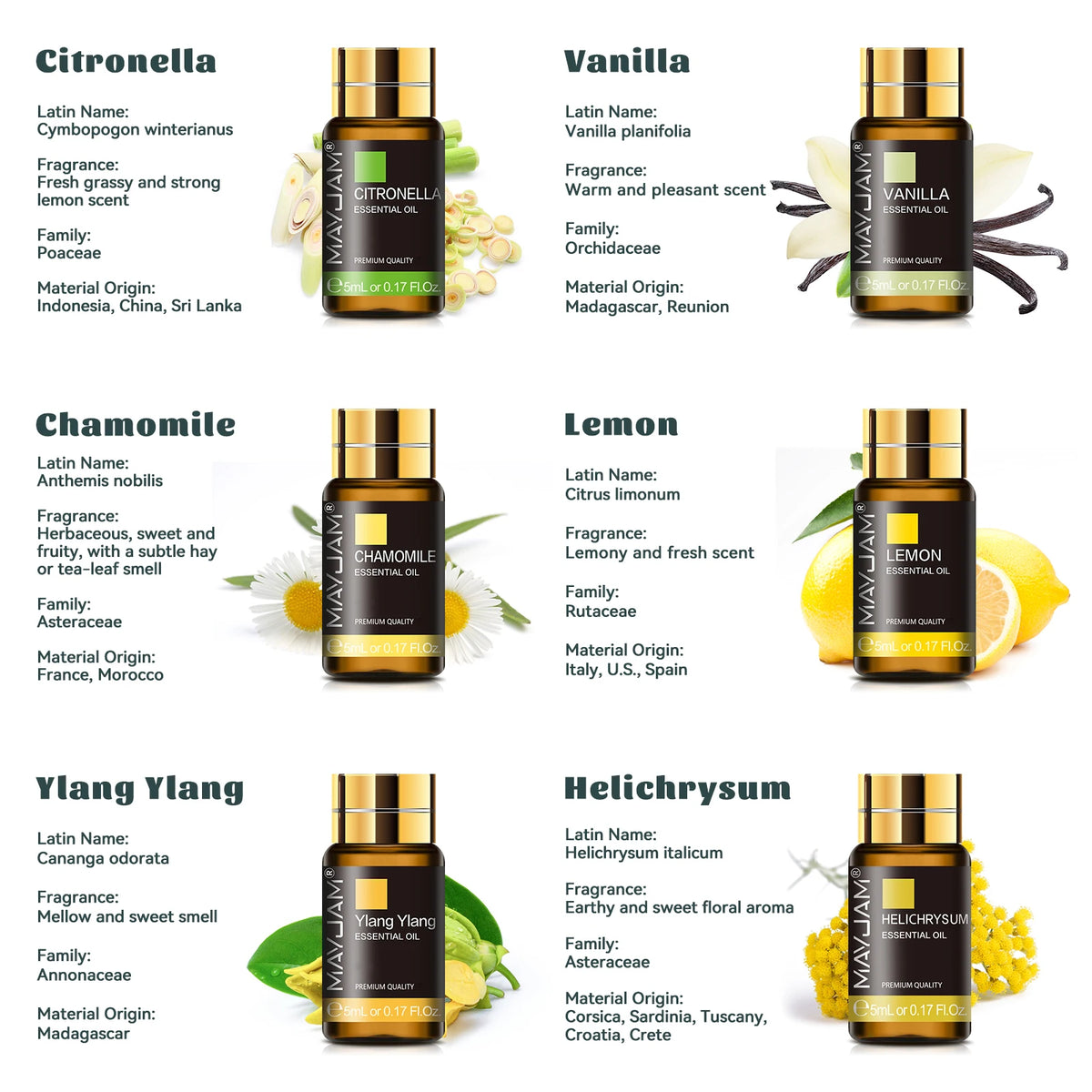 Mayjam Premium Aromatherapy Essential Oil Collection Set