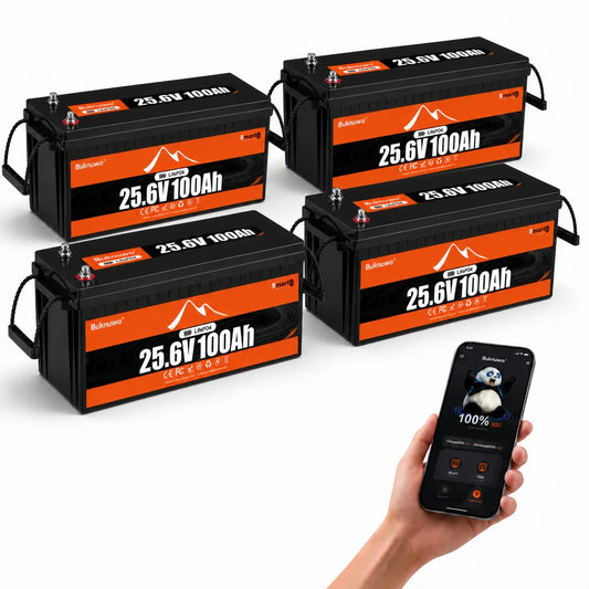 Buknuwo LiFePO4 Lithium Battery With Bluetooth BMS For Solar Energy